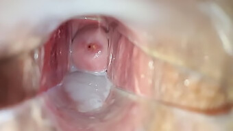 Close-Up Of A Female Ejaculation During Speculum Play