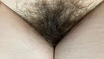 Hd Video Of Close-Up Of My Hairy Pussy And Bush